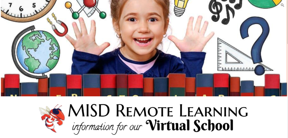 Virtual Instruction