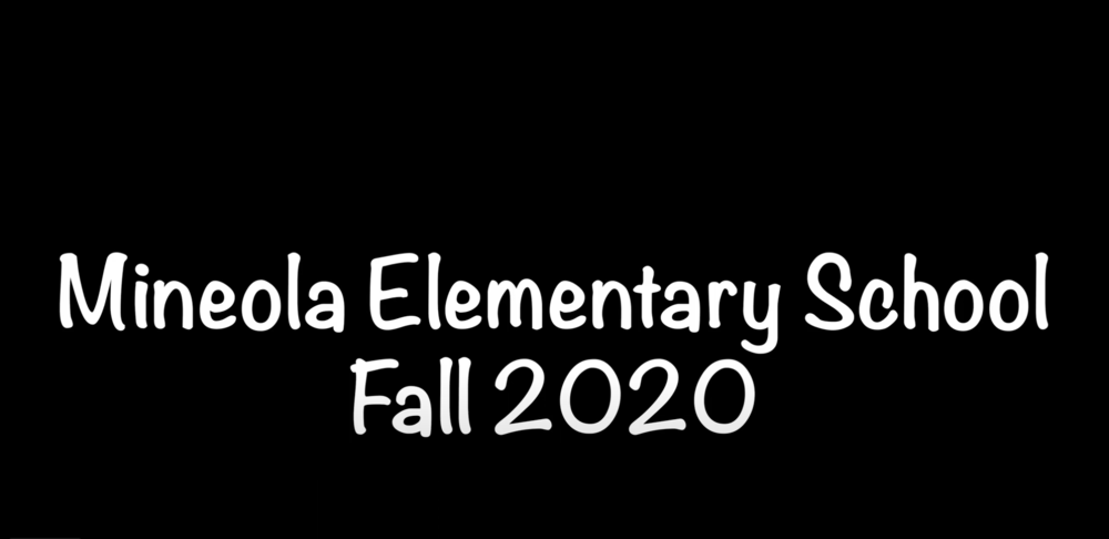 Fall 2020 Return to School Procedures