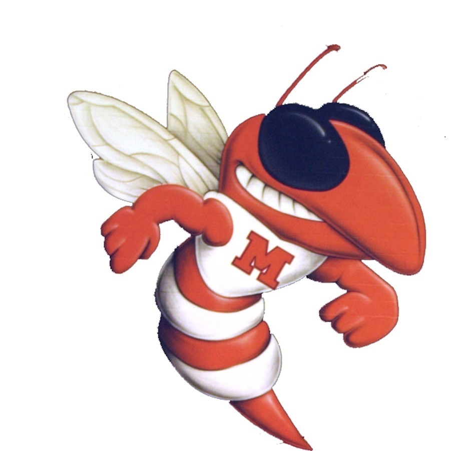 Yellowjacket Logo