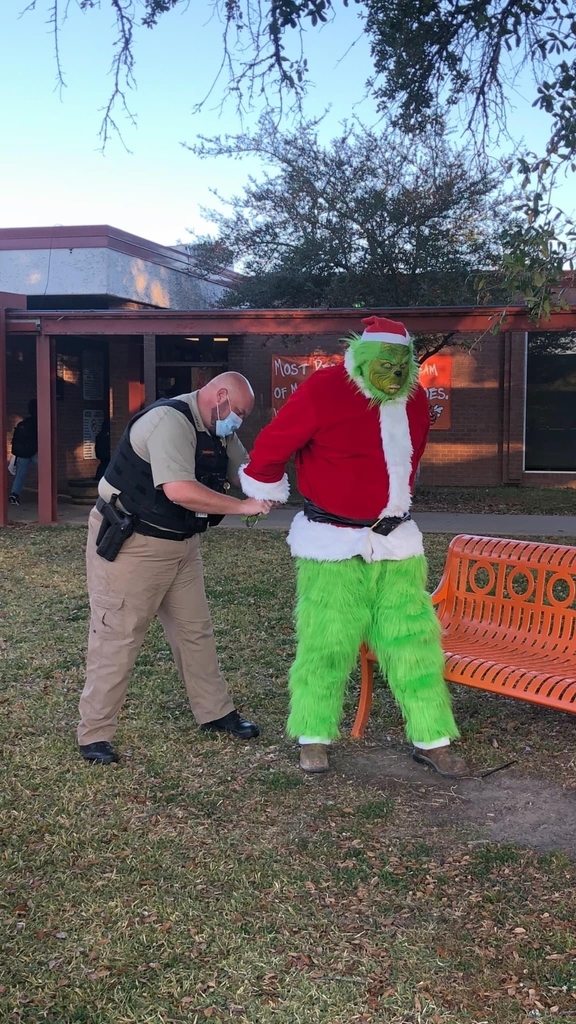 Grinch Arrested! 