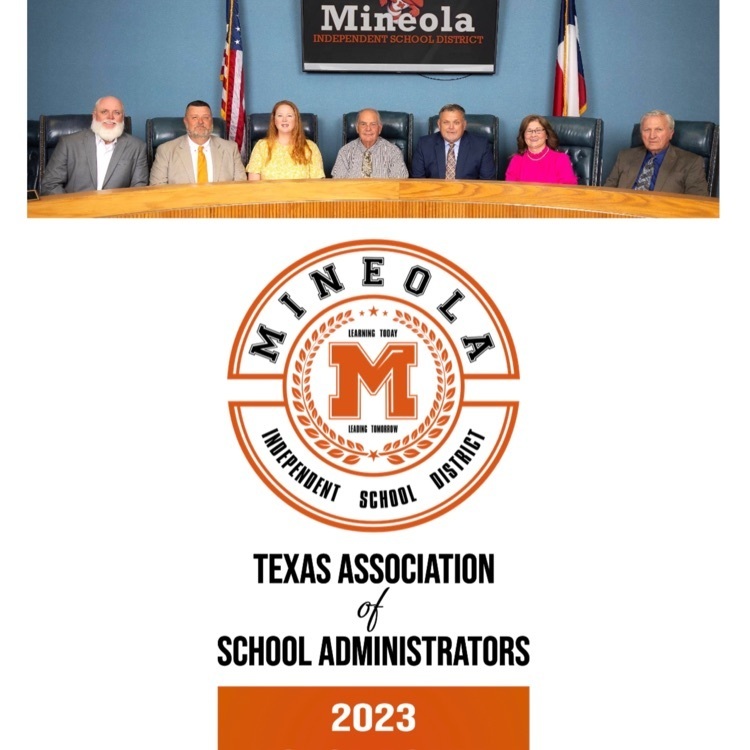Live Feed Mineola Independent School District